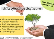 Microfinance Software Services in Delhi
