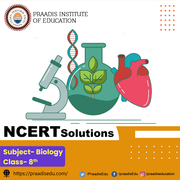 Biology Class 8 Ncert Solutions
