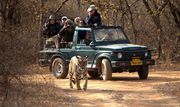 Ranthambore Online Safari Tickets Booking