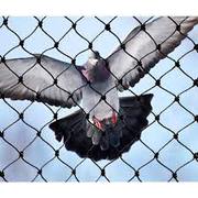 Bird Netting Services in Manjari - Angad Bird Netting