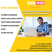 Website Web Development company in Mohali Guide Everything Related Pro