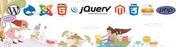SEO training in Delhi 