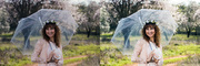  TeghCreatives - Premium Photo Editing Services At Non-Premium Prices