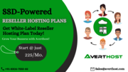 Best Reseller Hosting 