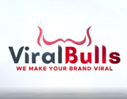 ViralBulls Digital Media Marketing Agency