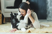 Best Pet Sitting Services in India - pawpurrfect