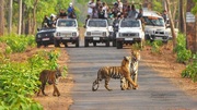 Wedding Resorts in Jim Corbett | Wedding Venues in Jim Corbett