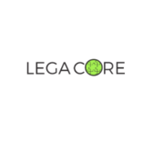 Litigation Support Service in USA
