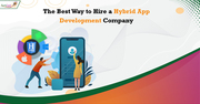 Hybrid Mobile App Developer Remote Hiring