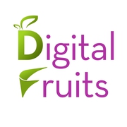 SEO Company in Gurgaon | SEO Services 100% Organic Results