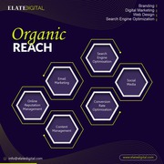 Social Media Marketing Agency