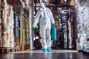 Pest Control and Sanitization Services | Event Needz