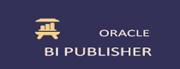 Oracle BI training in NOIDA.