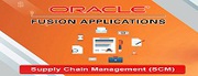 Oracle – SCM training in NOIDA.