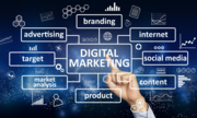 Best Social Media Marketing in Stylus Marketing