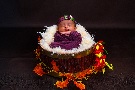 Baby photoshoot is a unique way to celebrate the Baby and as the best 