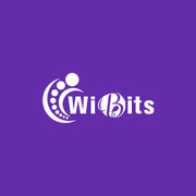 Get A Cutting-Edge Website For Your Business | Wibits Web Solutions
