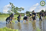 Build a career in farming from Agriculture College in Assam