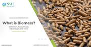 What is the definition of biomass