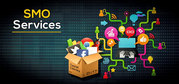Social Media Optimization Services in Indore