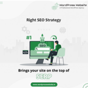 Expert Wordpress SEO Services in India
