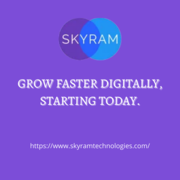 Digital Marketing Agency Delhi-Digital Marketing Company Delhi-Skyram 