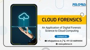 Pelorus Technologies | Security Surveillance
