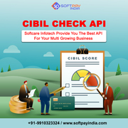Softpay Cibil Score Check API Company