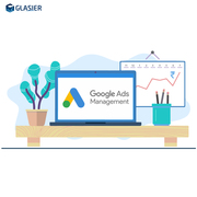 custom software development company India