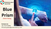 Proexcellency Solution conducting Blue Prism online training