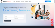 Digital Marketing Services in Hyderabad,  India - Geekschip
