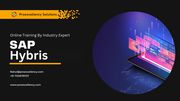 SAP Hybris Online Training By Proexcellency