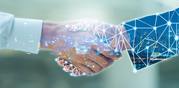 IT Consulting Services 