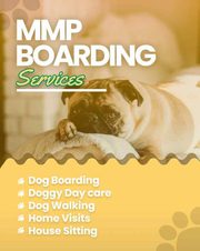 Dog Hostel services Bangalore 