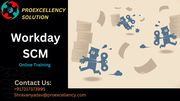 Proexcellency Solution conducting Workday SCM online training