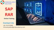 Proexcellency Solution conducting SAP RAR online training