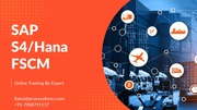 S4HANA FSCM Online Training By Proexcellency