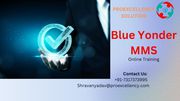 Proexcellency Solution conducting Blue Yonder MMS online training