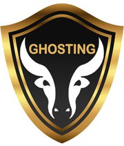 Ghosting Tech: website design in patna