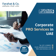 How to Set Up a Crypto Business in Dubai