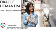 Proexcellency Solution conducting Oracle Demantra online training
