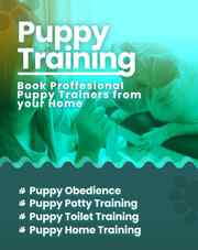  Dog trainers Noida 