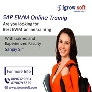 best sap ewm training