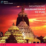 Check out the best tour packages at Mishra Tours & Travels
