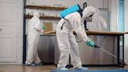 Pest control services - Best Pest Control Services in Delhi,  Noida & G