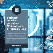 What are the key services and offerings provided by CDN a business sol