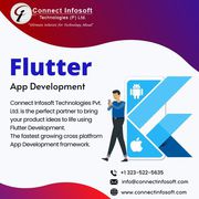 Flutter Development