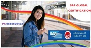 eDrishyaa IT India Pvt. Ltd. (SAP Authorized Academy)