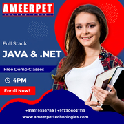 Best .NET Full Stack Developer Course in Ameerpet