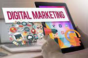 Top Website Designing Company in Delhi